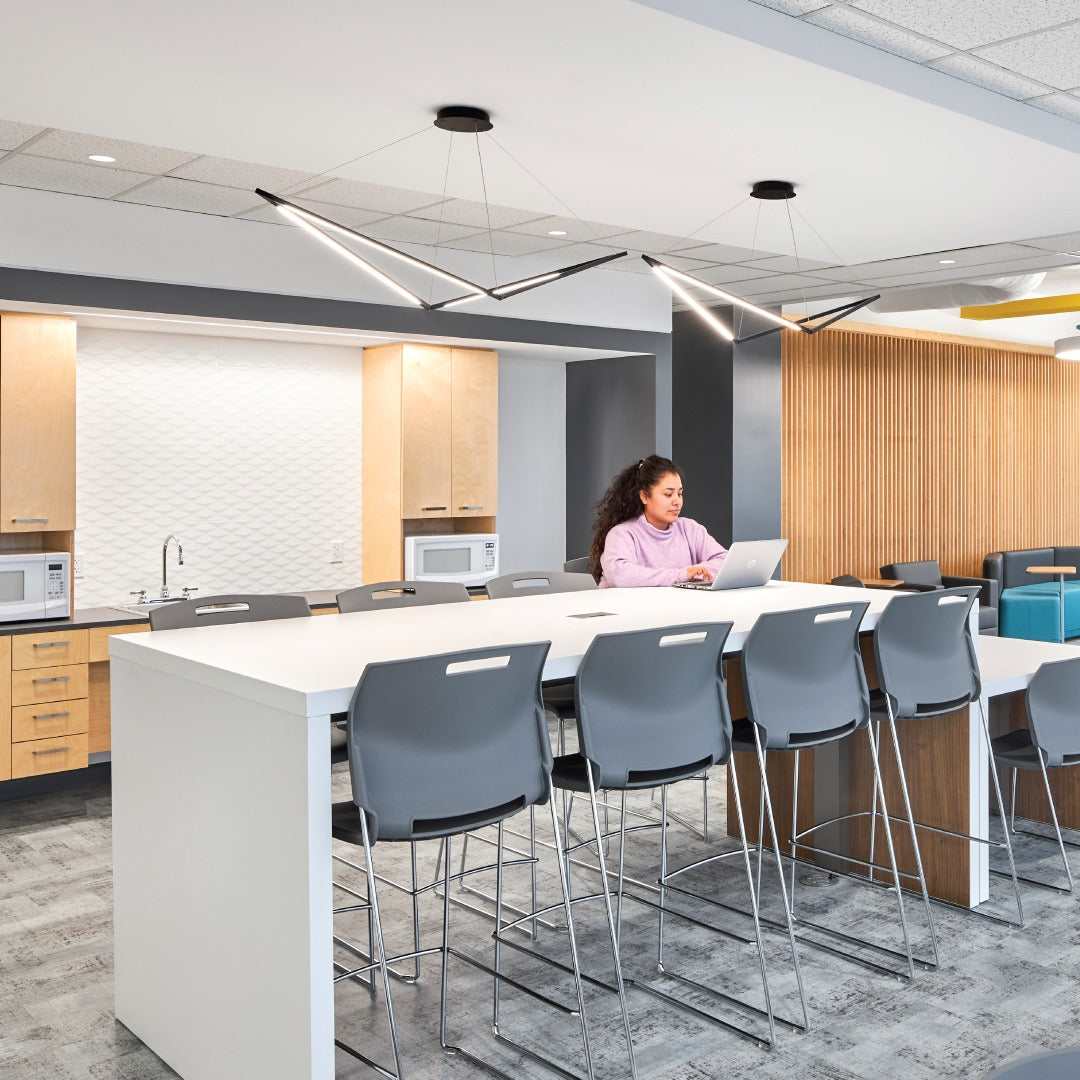 Z-Bar Pendant Birds at Cafe of GCworkplace in Ottawa