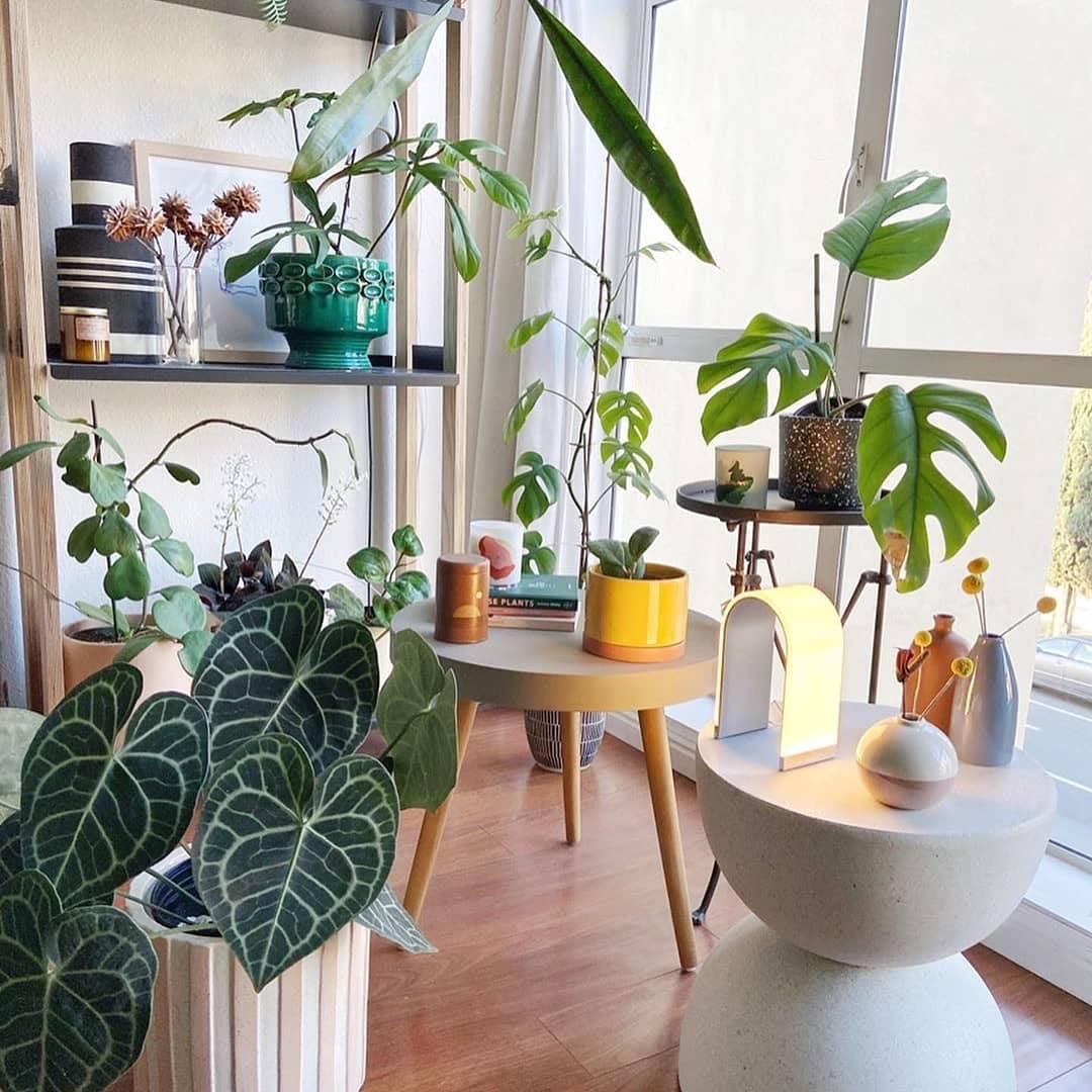 Mr. N in Home interior Design