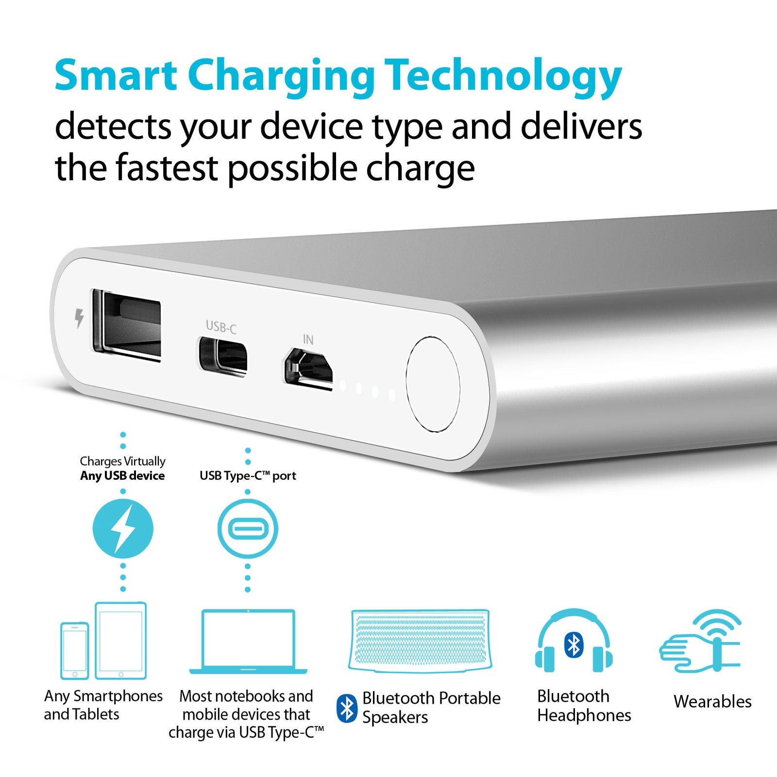 iLuv MYPOWER10CSI 10000mAh USB-C Power Bank